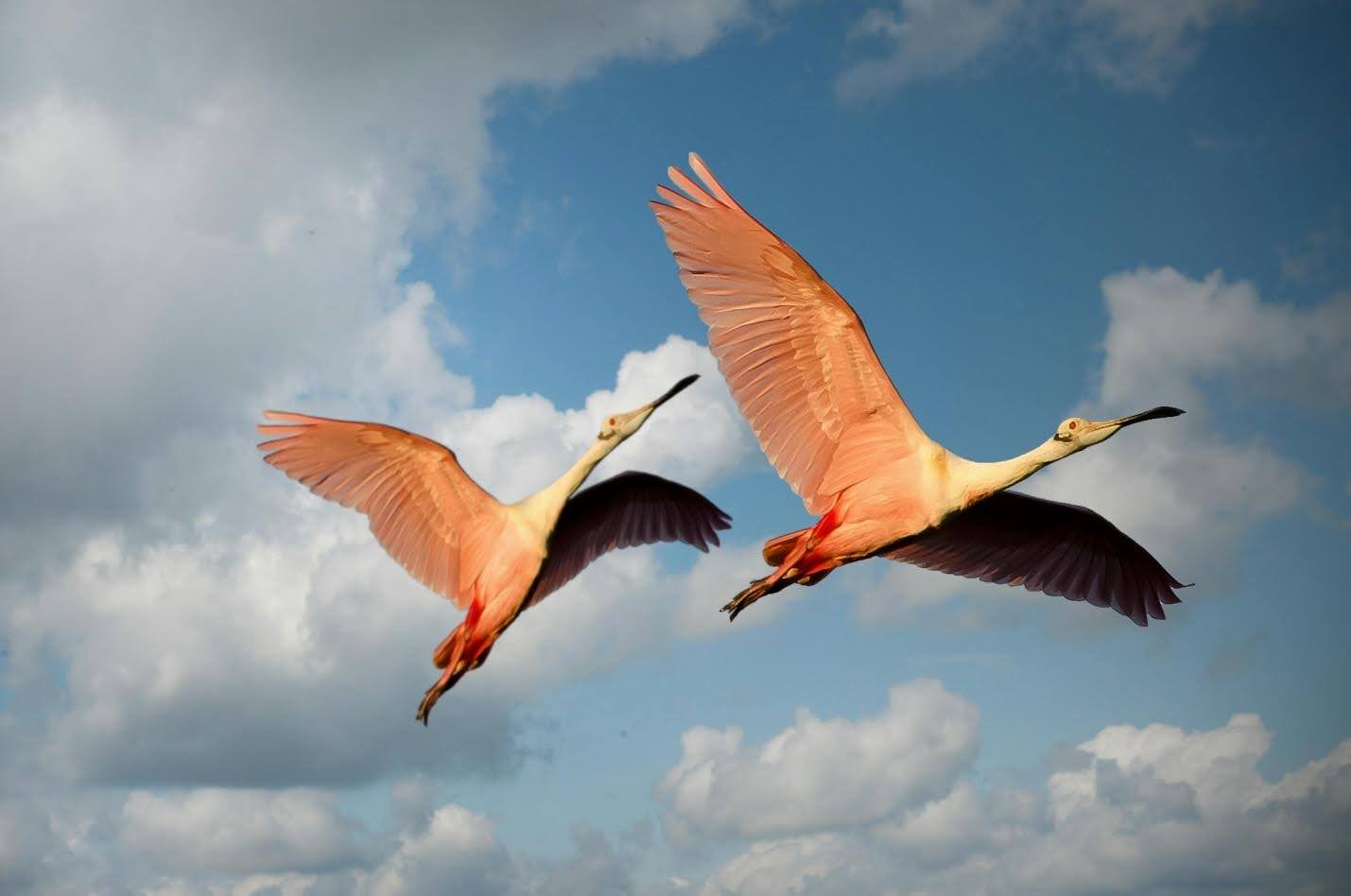 Unique Things to Do in Fort Lauderdale with Kids
